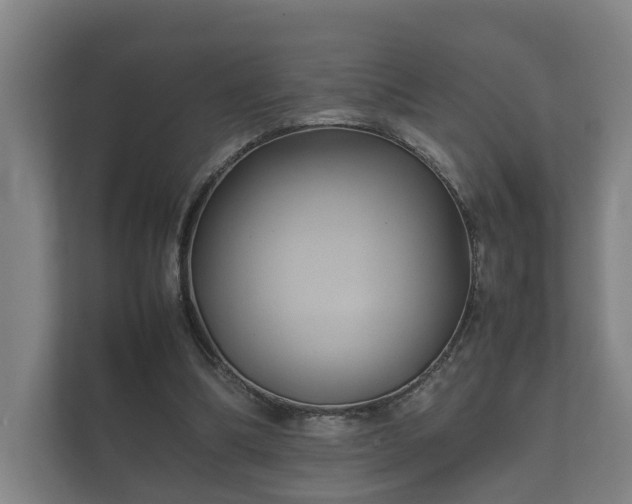 X0000112370298200908201507