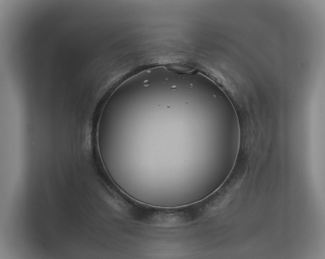 X0000112370299200908201507