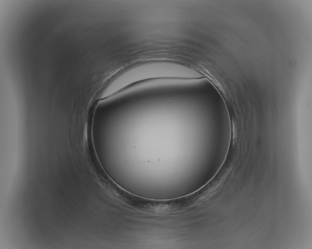 X0000112370301200908201507