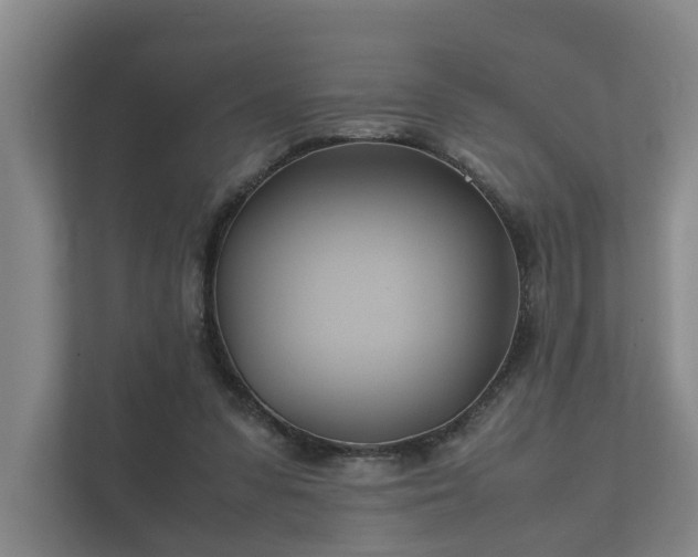 X0000112370303200908201507