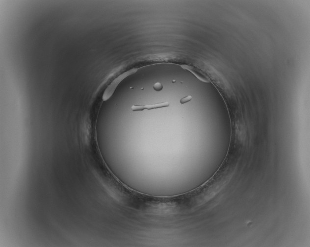 X0000112370304200908201507