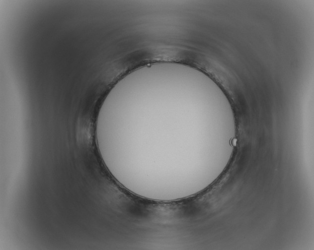 X0000112370305200908201507