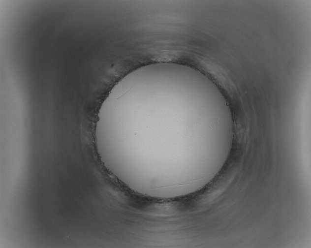 X0000112370307200908201507