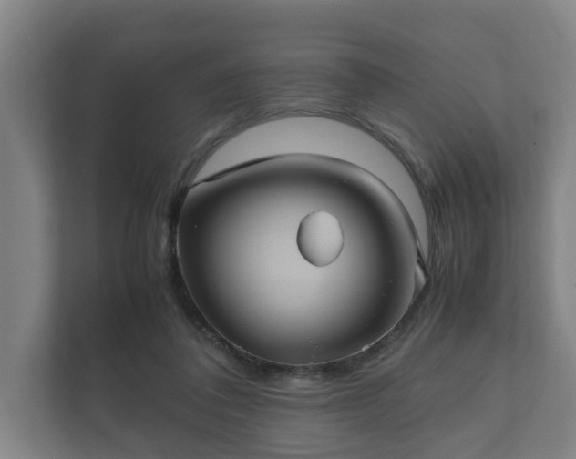 X0000112370308200908201507