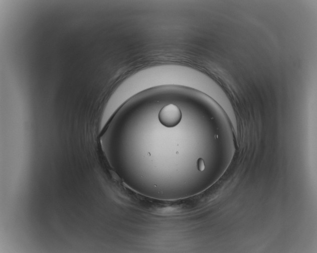 X0000112370312200908201507