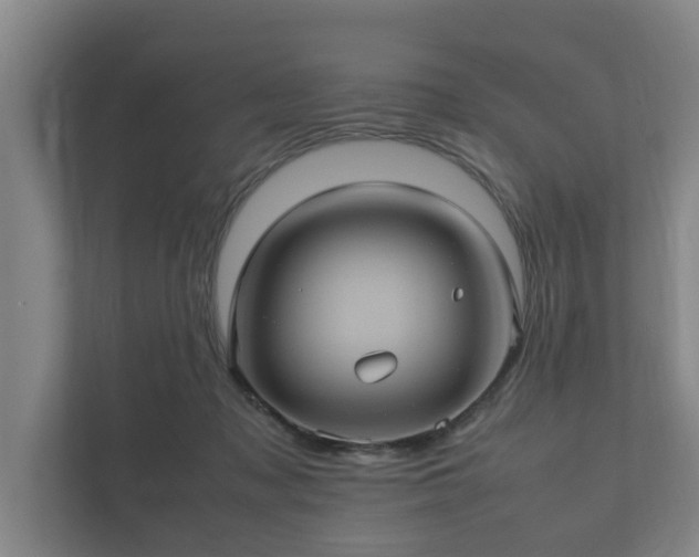 X0000112370317200908201507