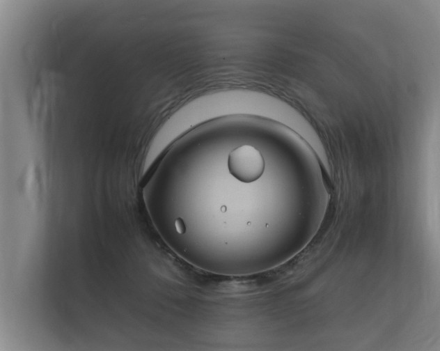 X0000112370320200908201507