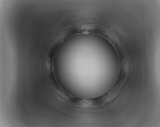 X0000112370328200908201507