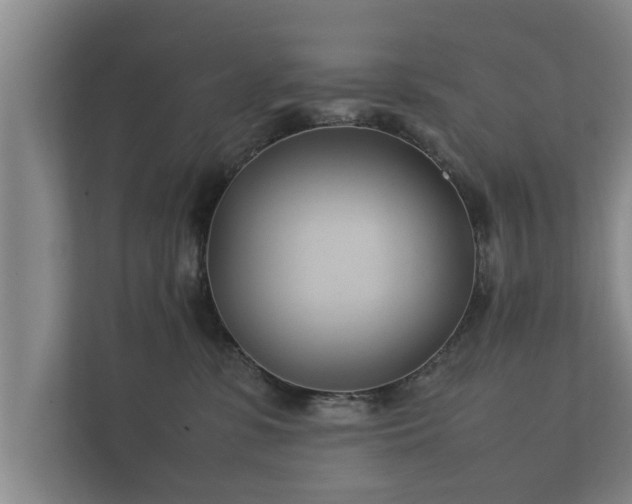 X0000112370331200908201507