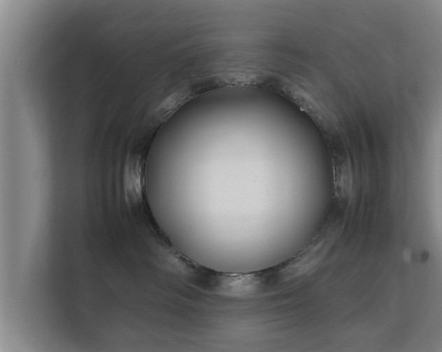 X0000112370334200908201507