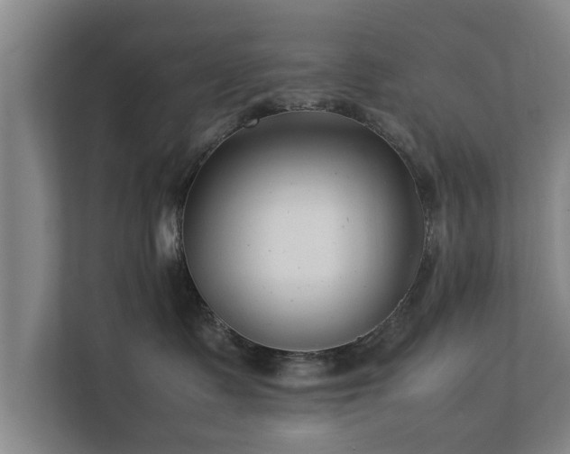 X0000112370335200908201507