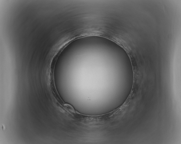 X0000112370338200908201506