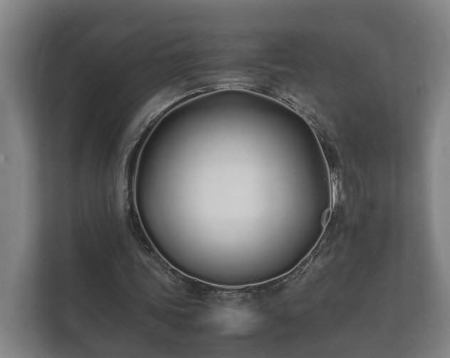 X0000112370339200908201506