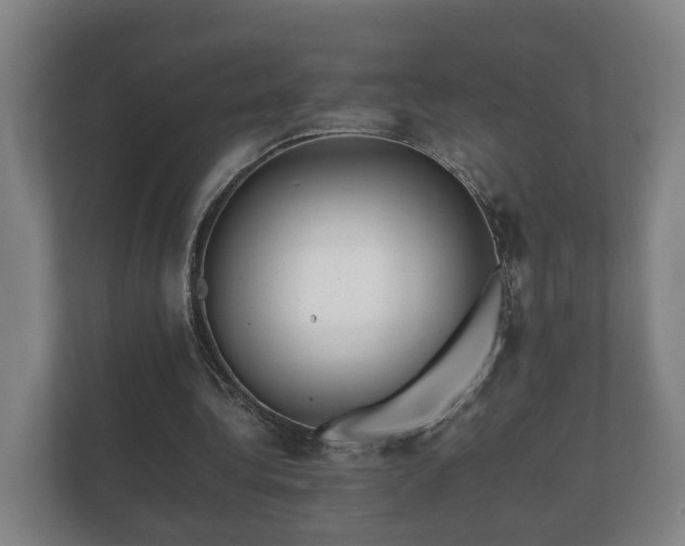 X0000112370340200908201506