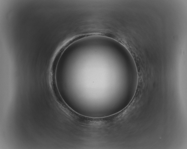 X0000112370342200908201506