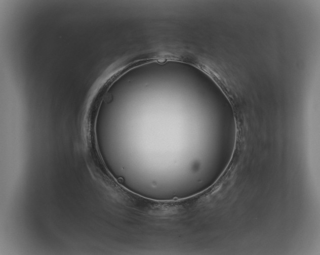 X0000112370343200908201506