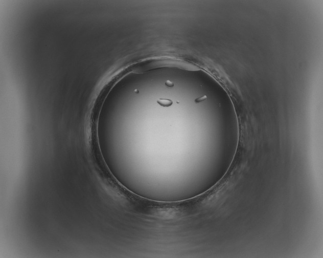 X0000112370344200908201506