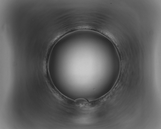 X0000112370345200908201506