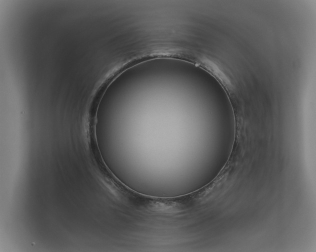 X0000112370346200908201506