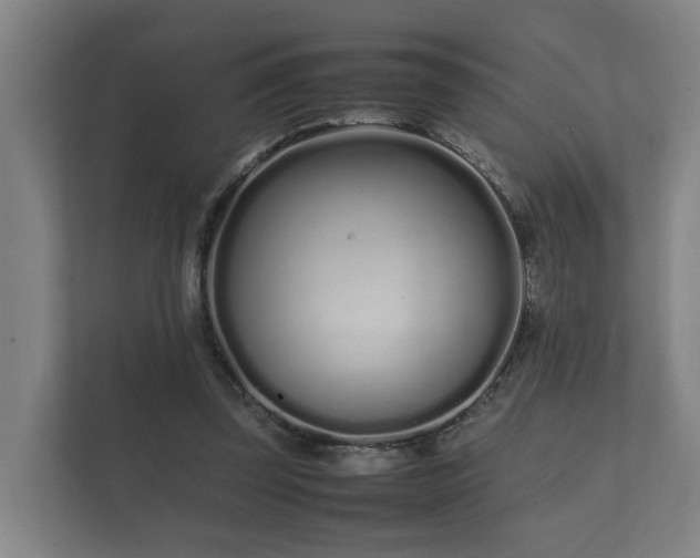 X0000112370347200908201506