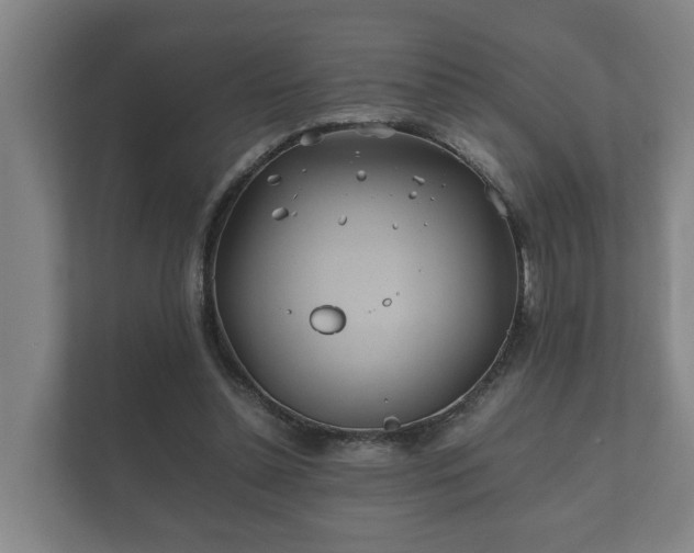 X0000112370348200908201506