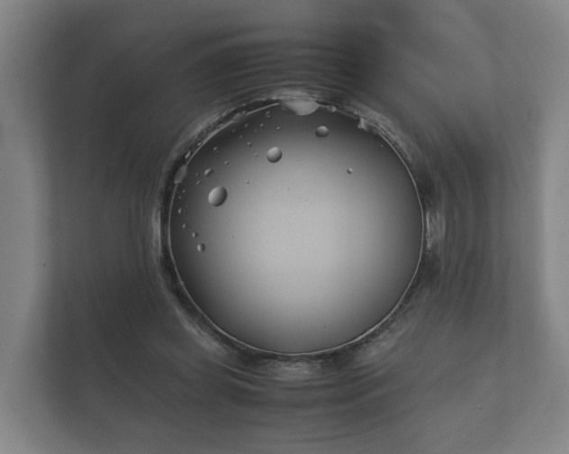 X0000112370349200908201507