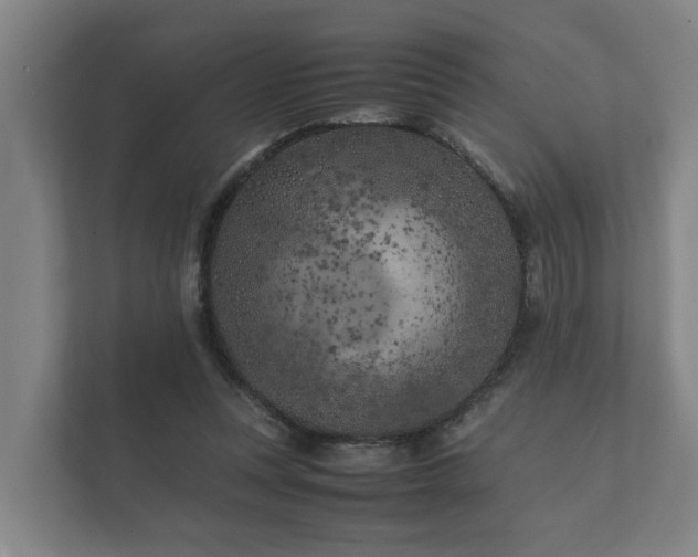 X0000112370351200908201507