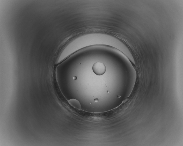 X0000112370352200908201507