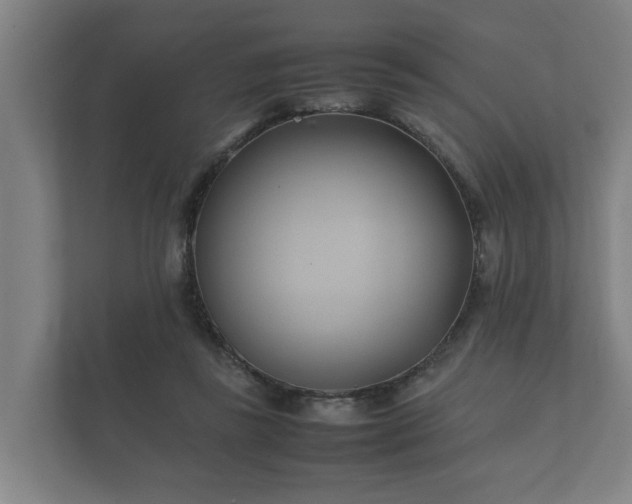 X0000112370355200908201507