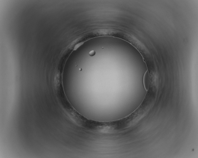 X0000112370356200908201507