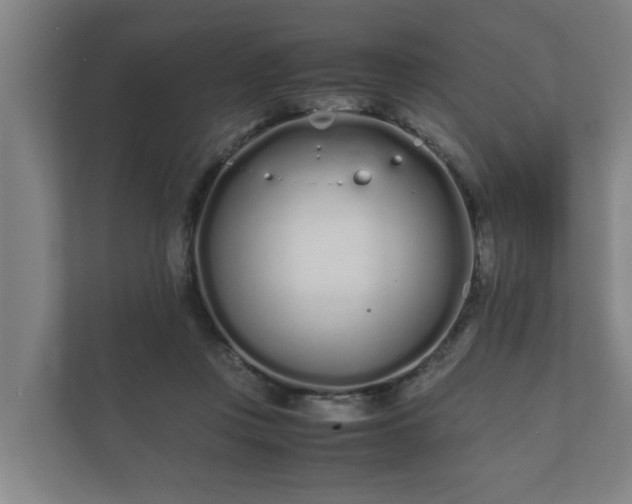 X0000112370359200908201507