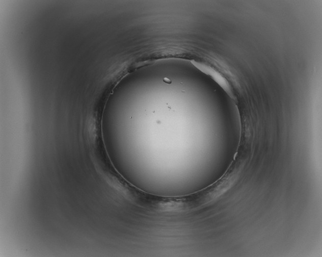 X0000112370362200908201507