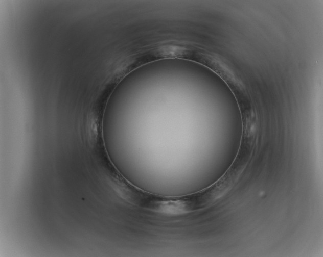 X0000112370363200908201507