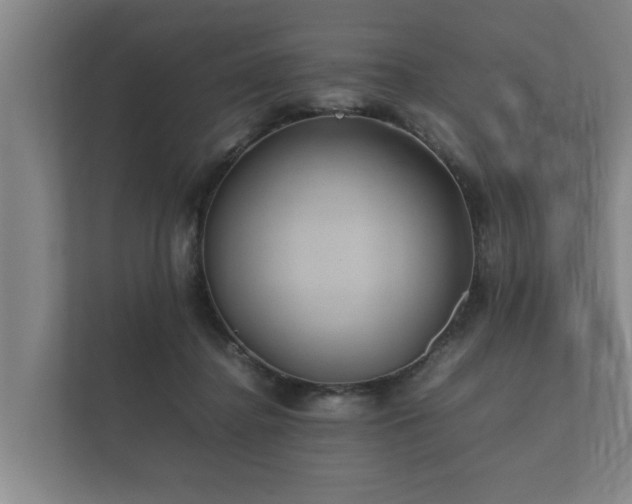 X0000112370364200908201507