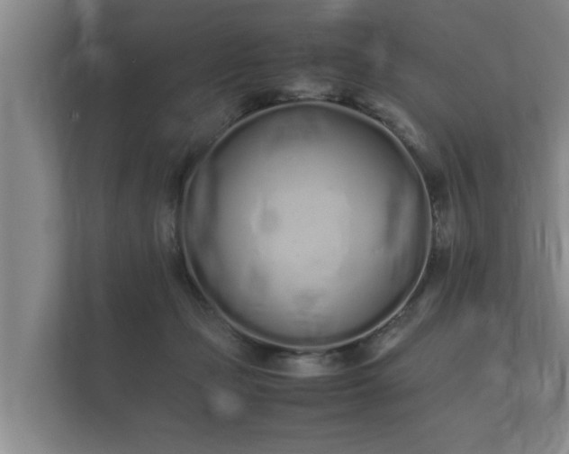 X0000112370365200908201507