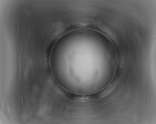 X0000112370366200908201507