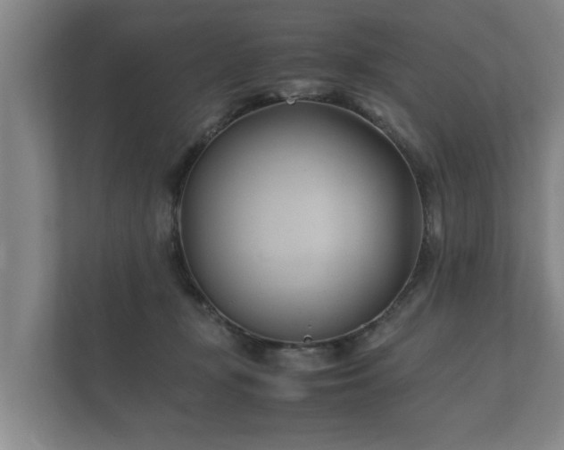 X0000112370367200908201507