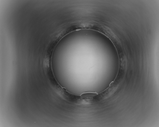 X0000112370368200908201507