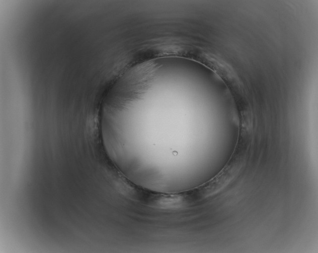 X0000112370369200908201507