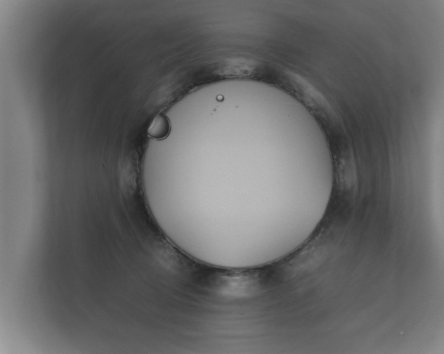 X0000112370370200908201507