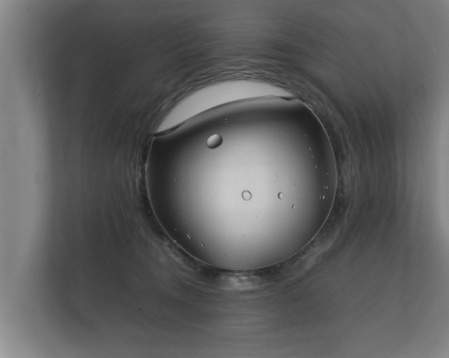 X0000112370372200908201507