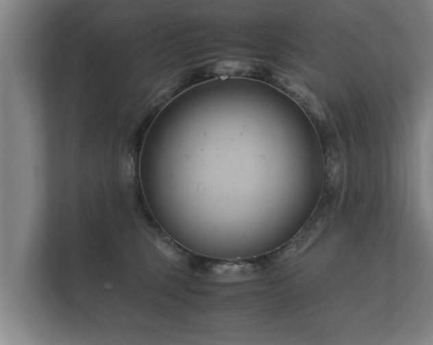 X0000112370375200908201507