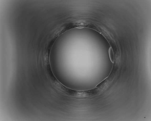 X0000112370376200908201507