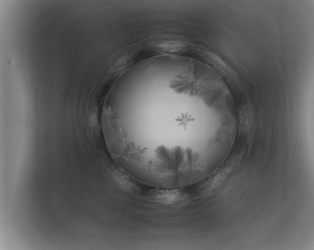 X0000112370377200908201507
