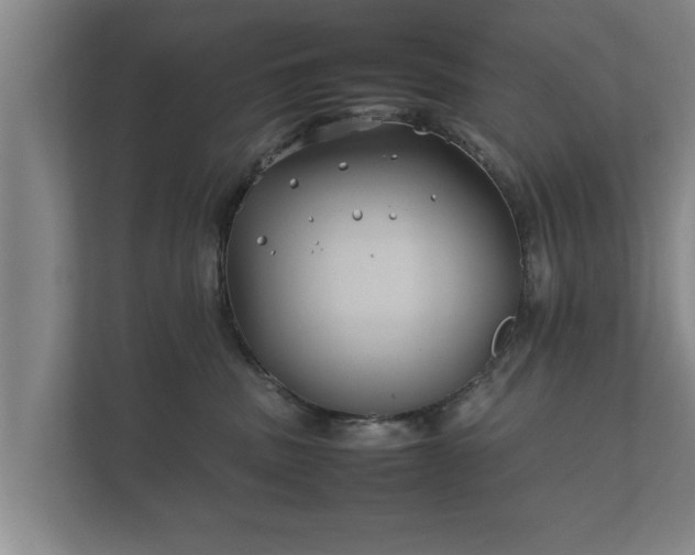 X0000112370379200908201507