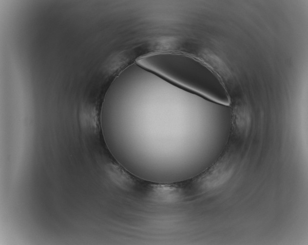 X0000112370380200908201507