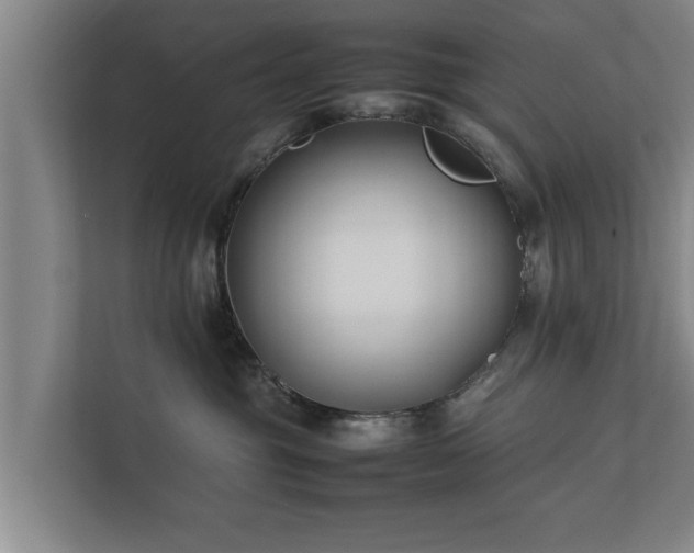 X0000112370381200908201507