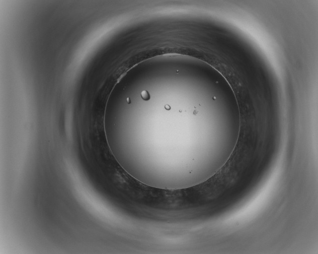 X0000112370382200908201507