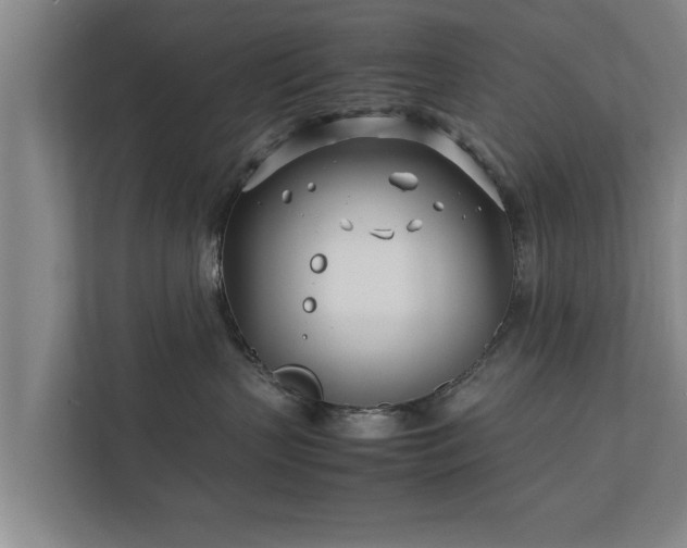 X0000112370383200908201507