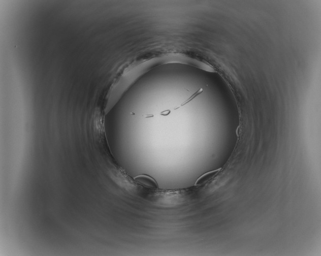 X0000112370384200908201507